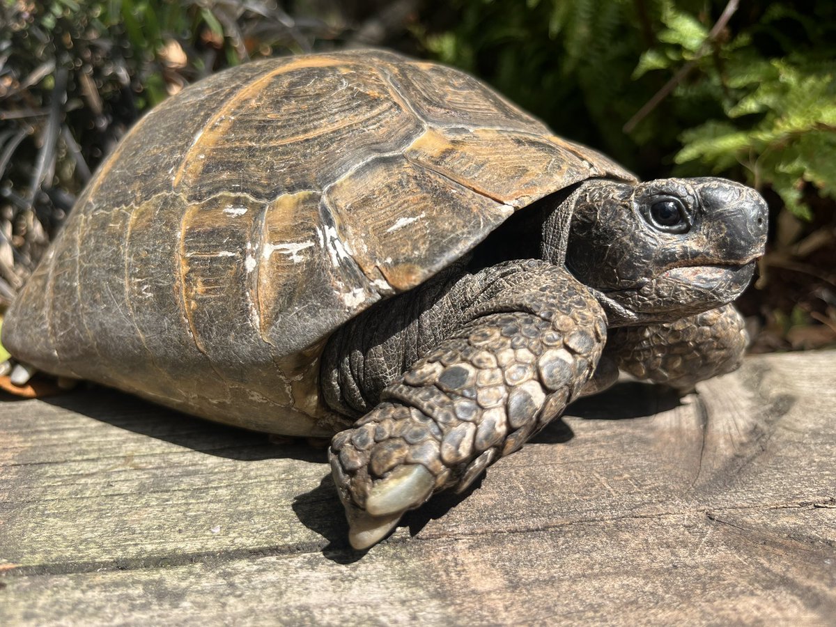 Karen Anstee tweet media