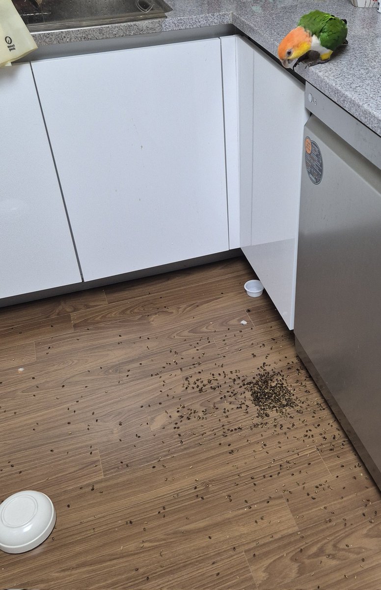 오늘 무무가 세운 업적