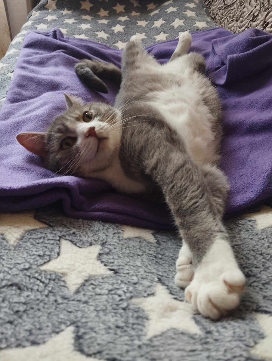 Мистер Андрюша 

<a href="/ubezh777/">Приют Убежище</a>