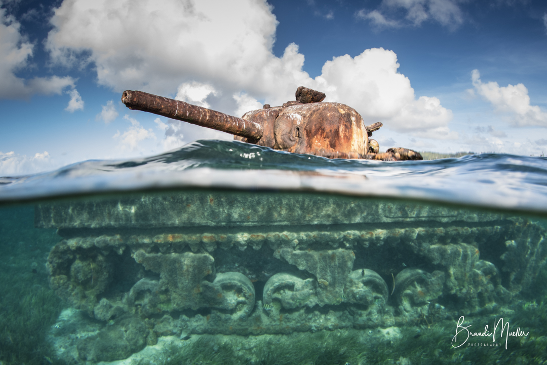 NAUI Worldwide tweet media