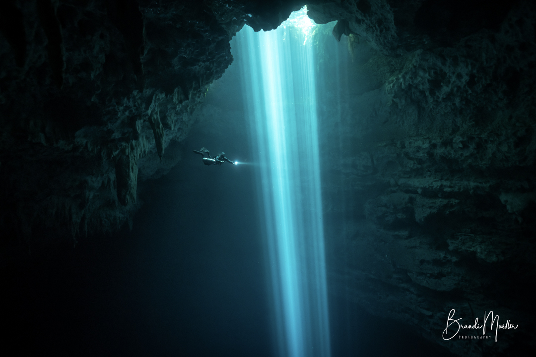 NAUI Worldwide tweet media