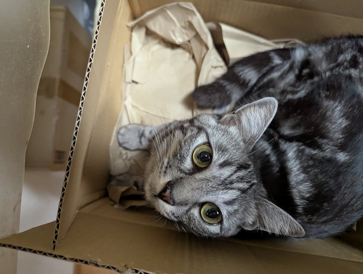 はくとん様❤️おまとめ専用ページです。7/17まで♡ 📦🎶 #mofusand