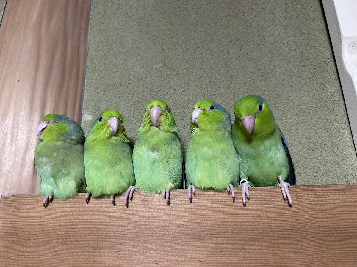 ちょっと離れて戻ってきたら……