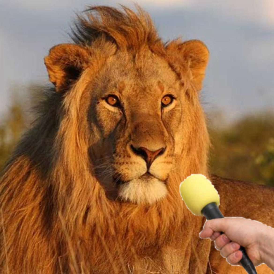 -¿Cuál es su película favorita del cine español?

-"Marfelino Pan y Vino".