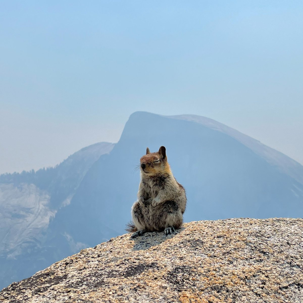 US Department of the Interior tweet media