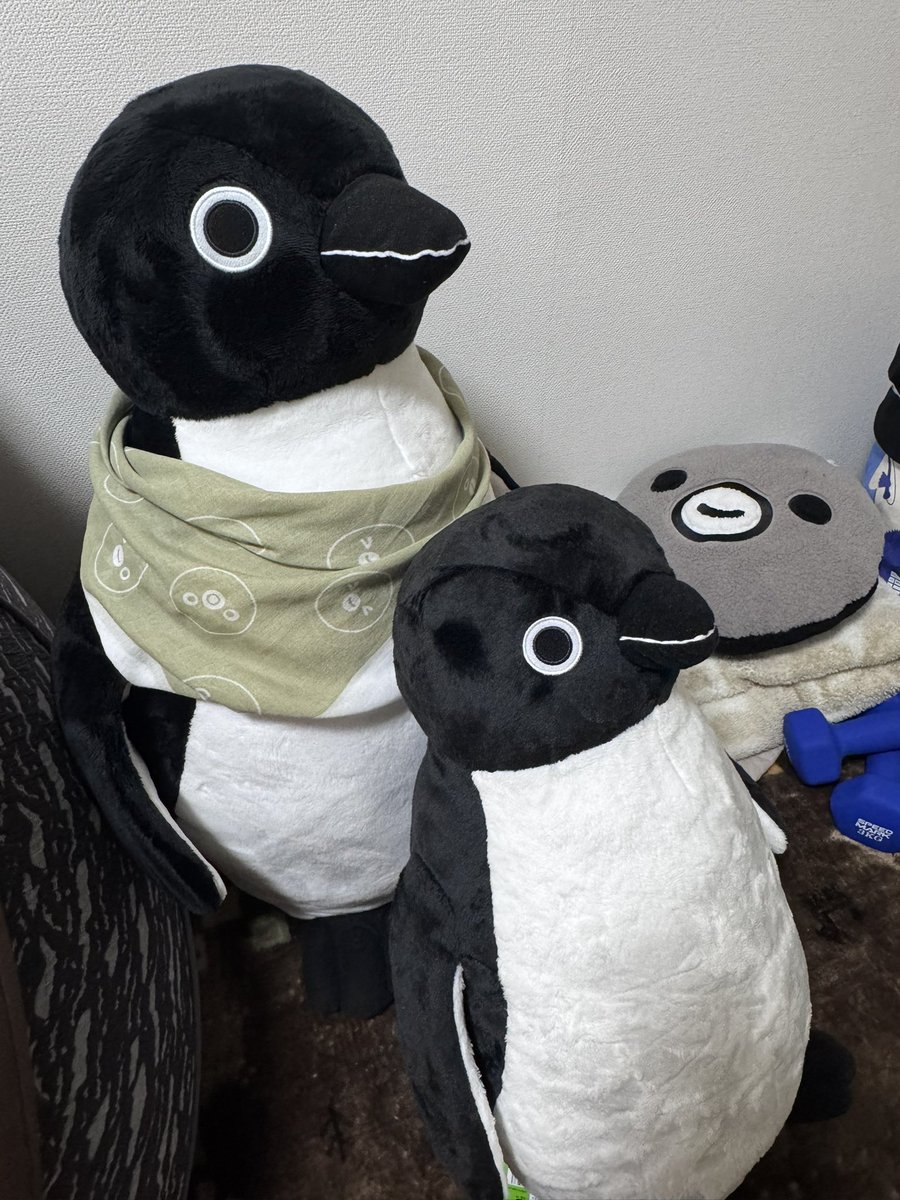 ついに！
みっつのひっそり🐧さんを我が家にお迎えしました〜
とてもイケペンだったので思い切ってしまいました😅

🐧にいさん？！