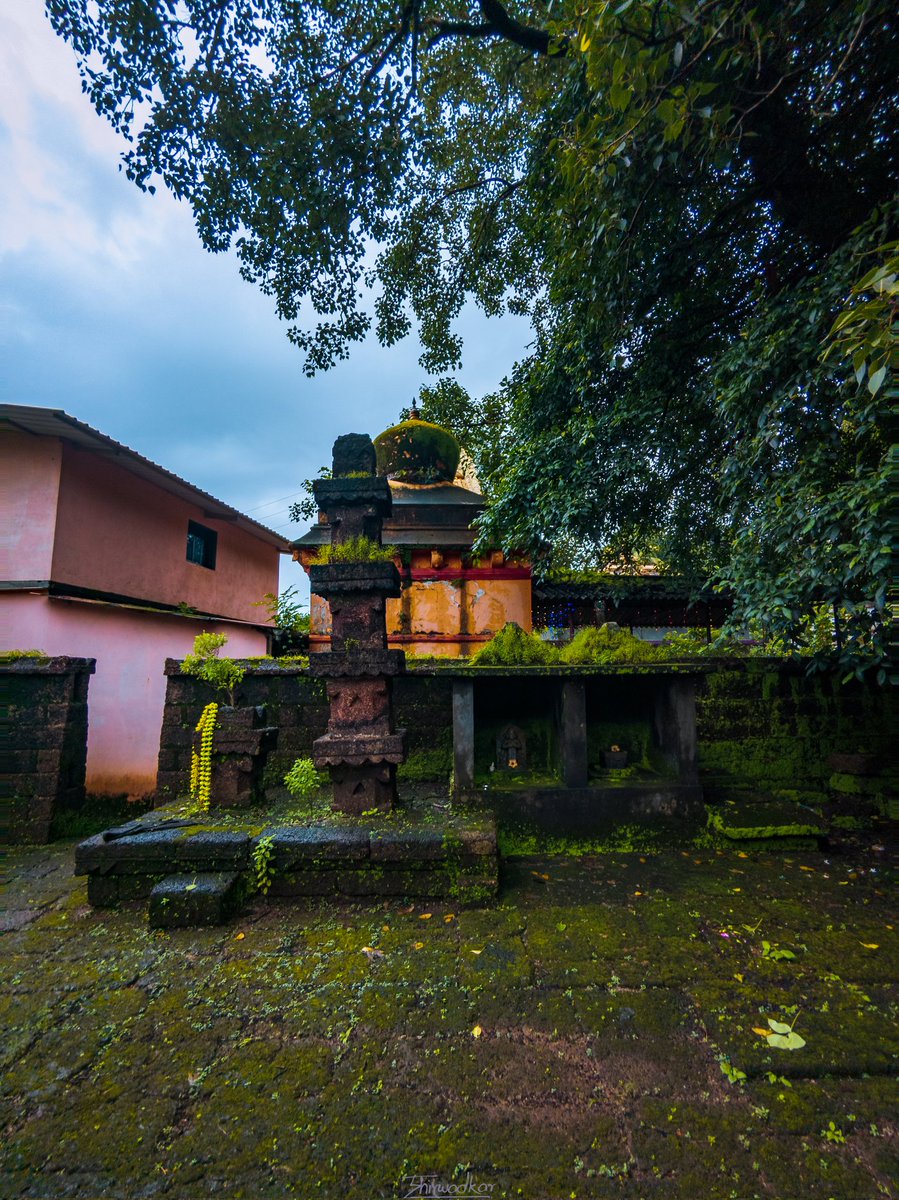 Where silence speaks...

#TeamPixel