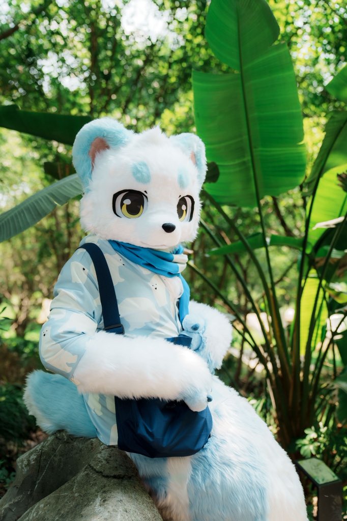 NotabearOWO's tweet image. 我美吗
#FursuitFriday