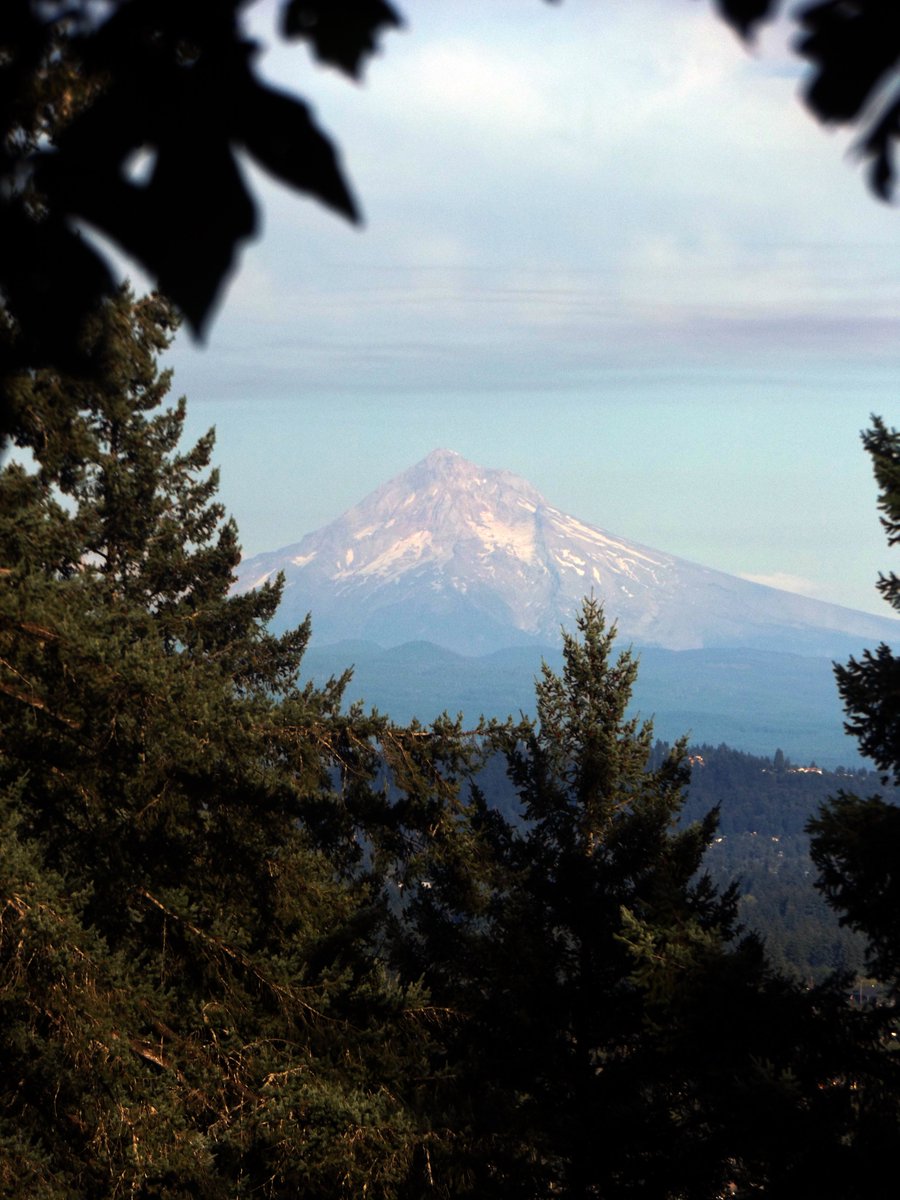 roof_drunk's tweet photo. i havent posted in awhile, but a photo dump from my latest trip to the pnw https://t.co/A5jXVR7npb