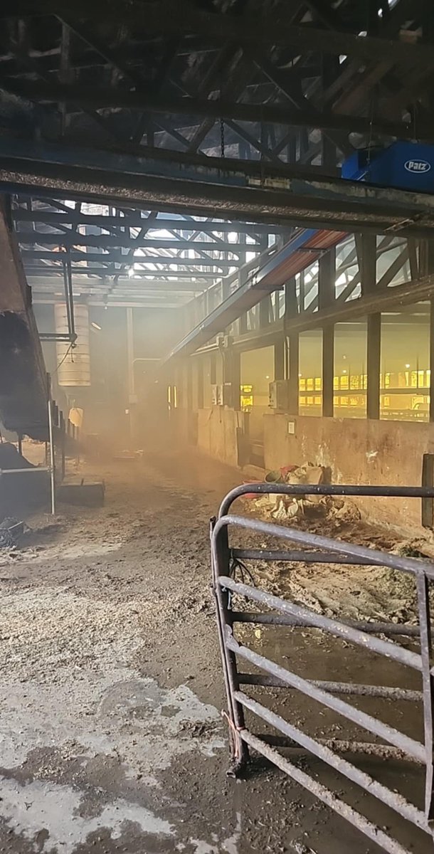 Brandon01950258's tweet photo. @jzantinge2 Triticale silo gassed pretty bad this spring. Unloader blew the gas out while feeding https://t.co/uOmX22vn2d