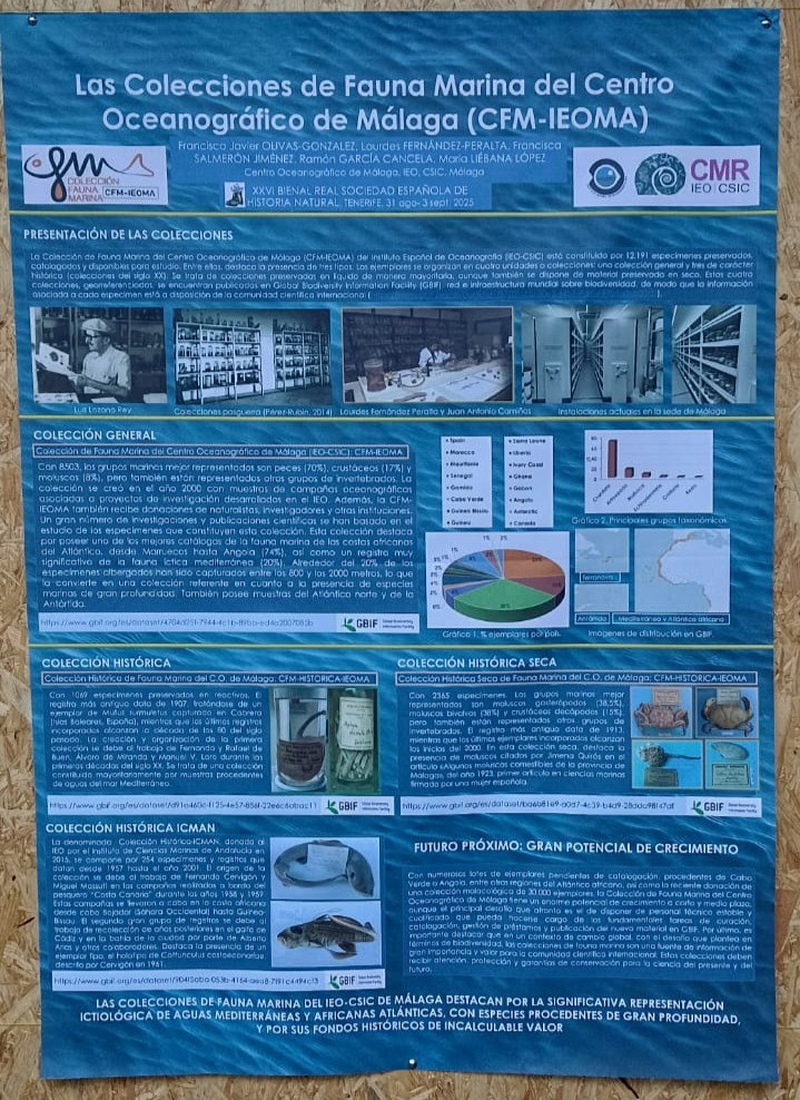Colección de Crustáceos Marinos (IEO Cádiz) tweet media