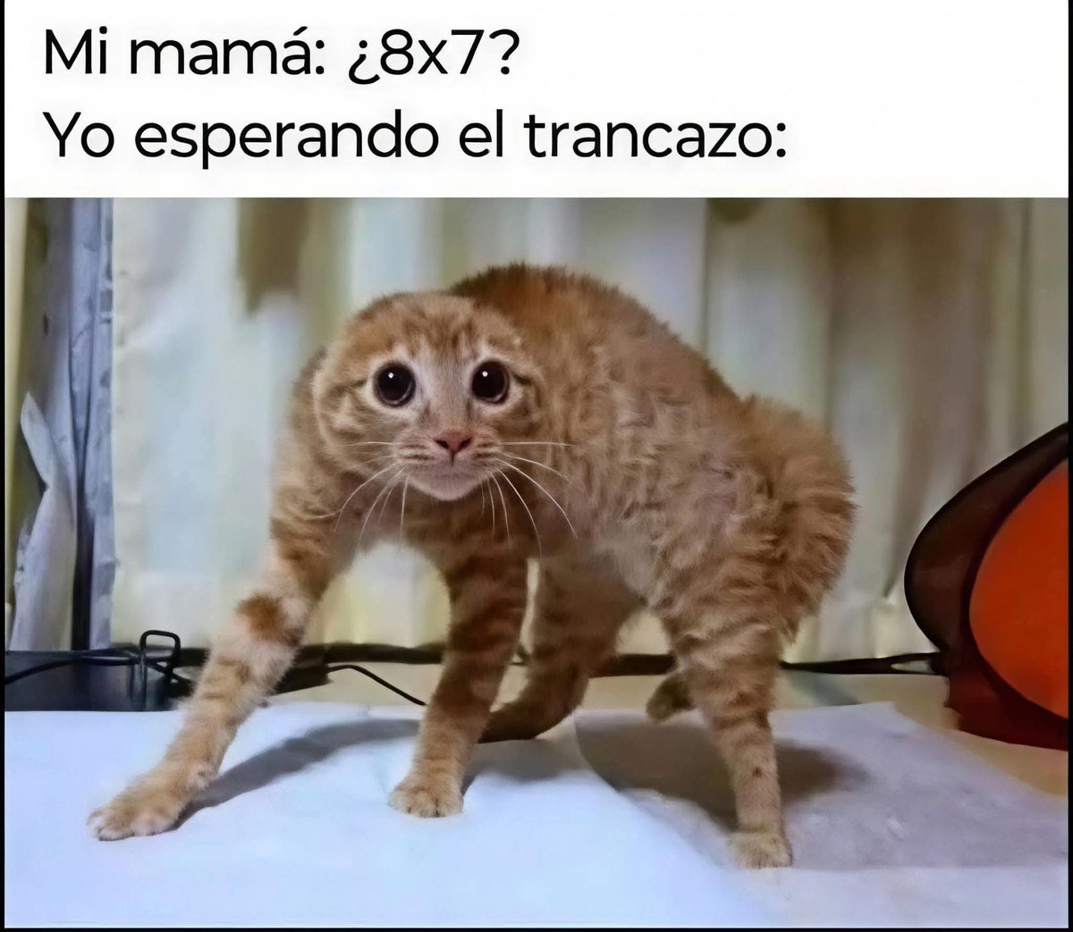 El Meme (@memessv7) on Twitter photo 