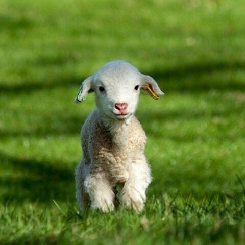 Li Xa (@lixax96) on Twitter photo 