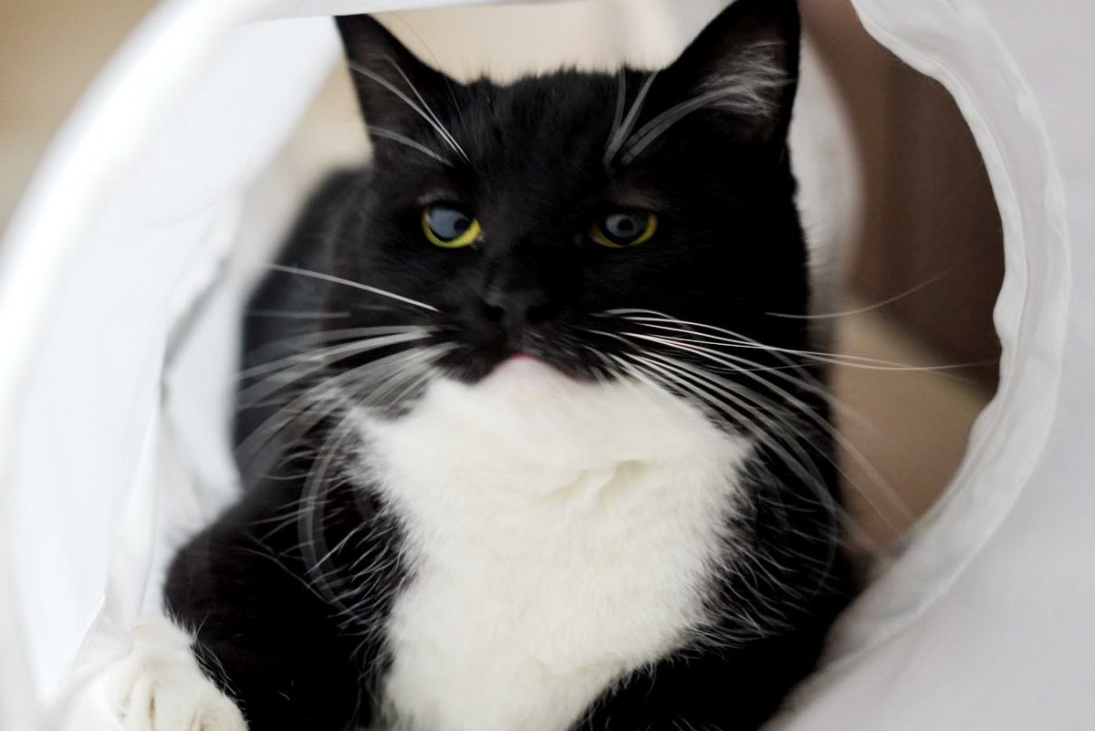 Eepy Uni during playtime…