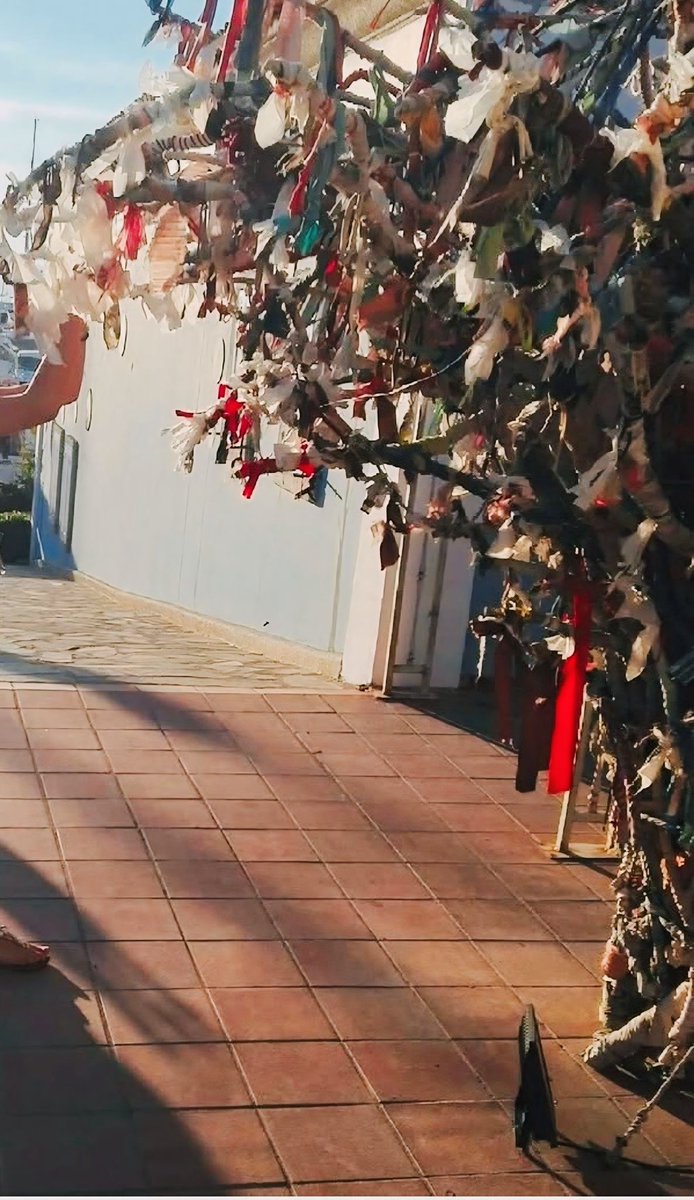 Kendine hayrı olmayan, kuru dallamalı ağaçtan bişey isteyip olmasını beklicemm. Üstelik ayakkabı bağcığım karşılığında 🪾