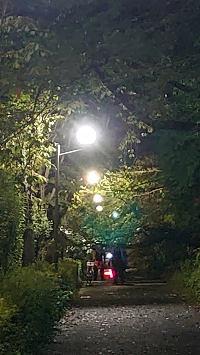 perfumebeer's tweet photo. 昭和記念公園外周の歩道に倒木があって通れなかった https://t.co/BRMiJrtSfQ