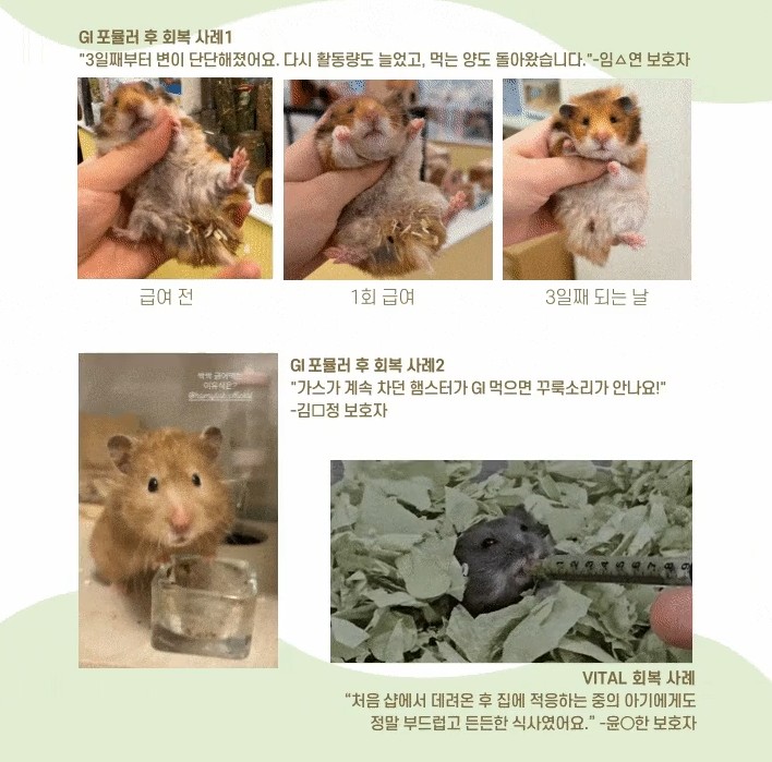 <햄스터>작가인 김정희수의사가 햄스터 처방식을 만들었다 

햄스터는 개, 고양이와 달리 아플 때 대안식이 없었는데 고마운 소식이다
이제 햄스터들도 면역, 회복 때 영양식으로 도움을 받을 수 있게 됐다

와디즈에서 '햄스터'로 검색하면 된다
#햄스터