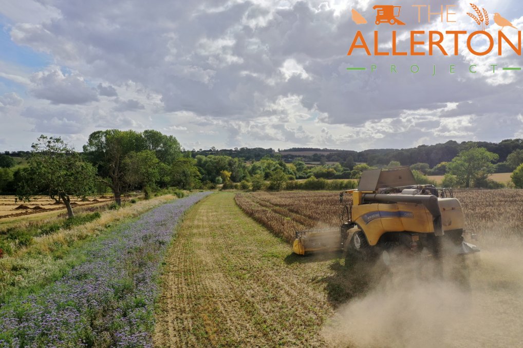 AllertonProject's tweet photo. Our shot of the harvest... 

Harvesting our bean/oat bi-crop alongside a pollinator margin with our field drainage project being established over the recently coppiced hedge... https://t.co/iAeVnR6WbZ