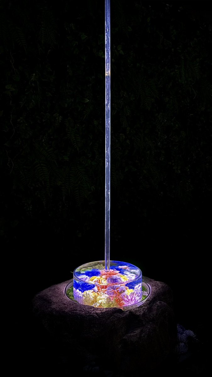 みんと tweet media