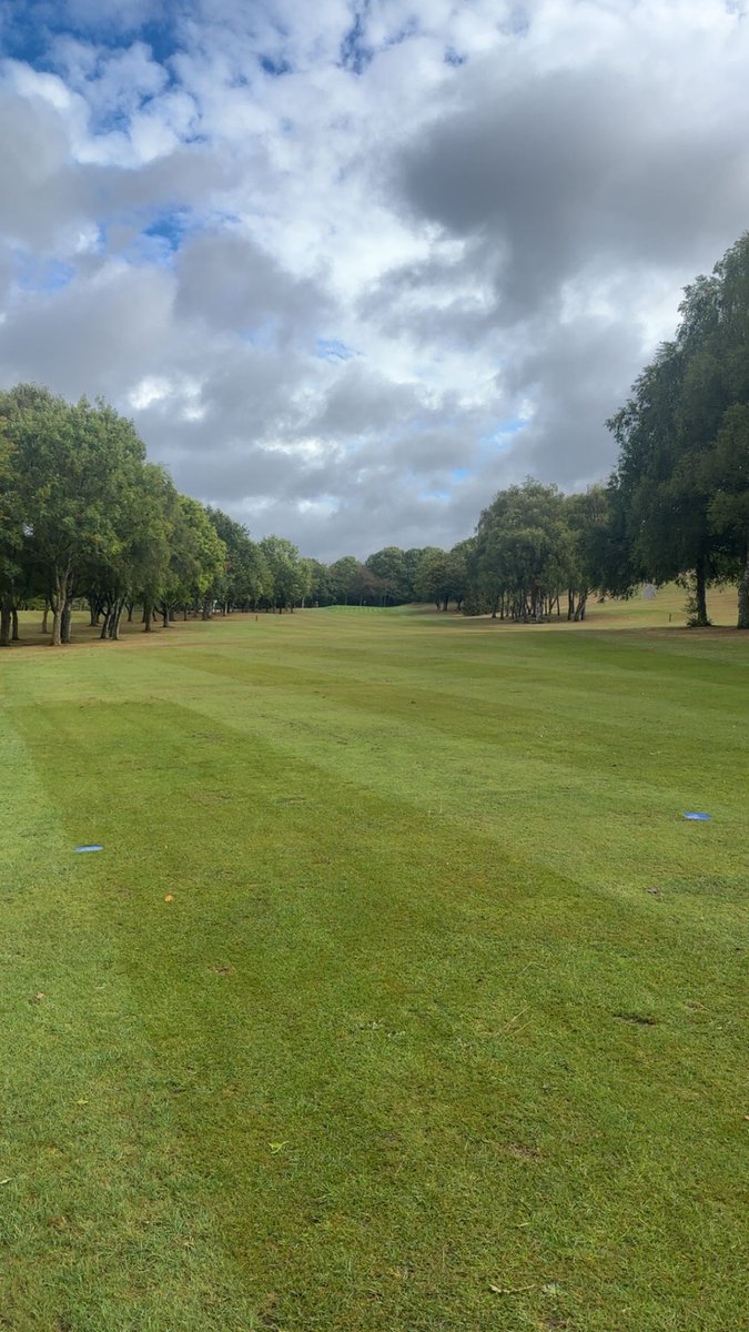 Billy Hayes tweet media