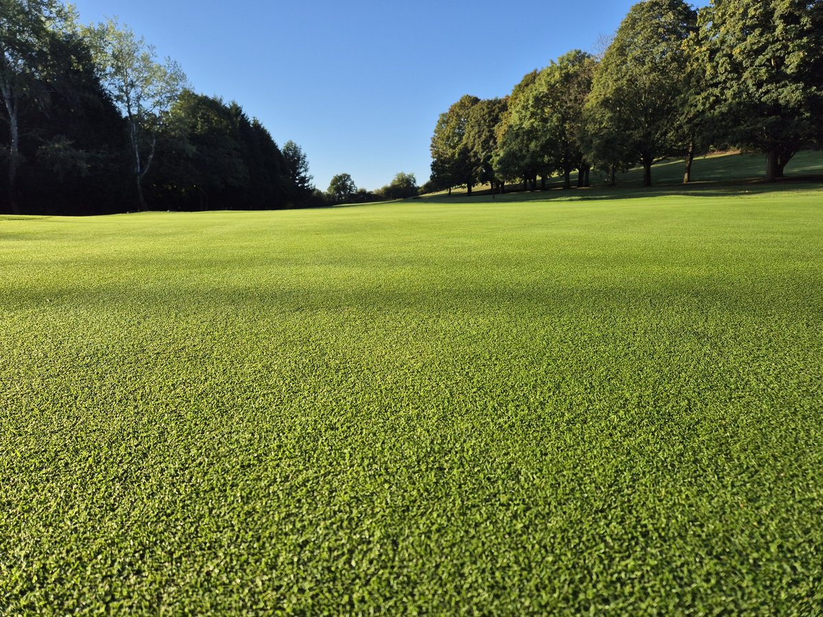 Billy Hayes tweet media