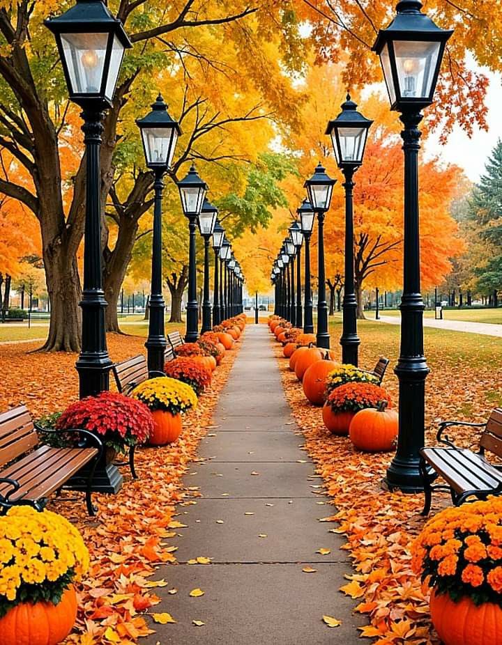🍂🌟🍂Good evening 🍂🌟🍂