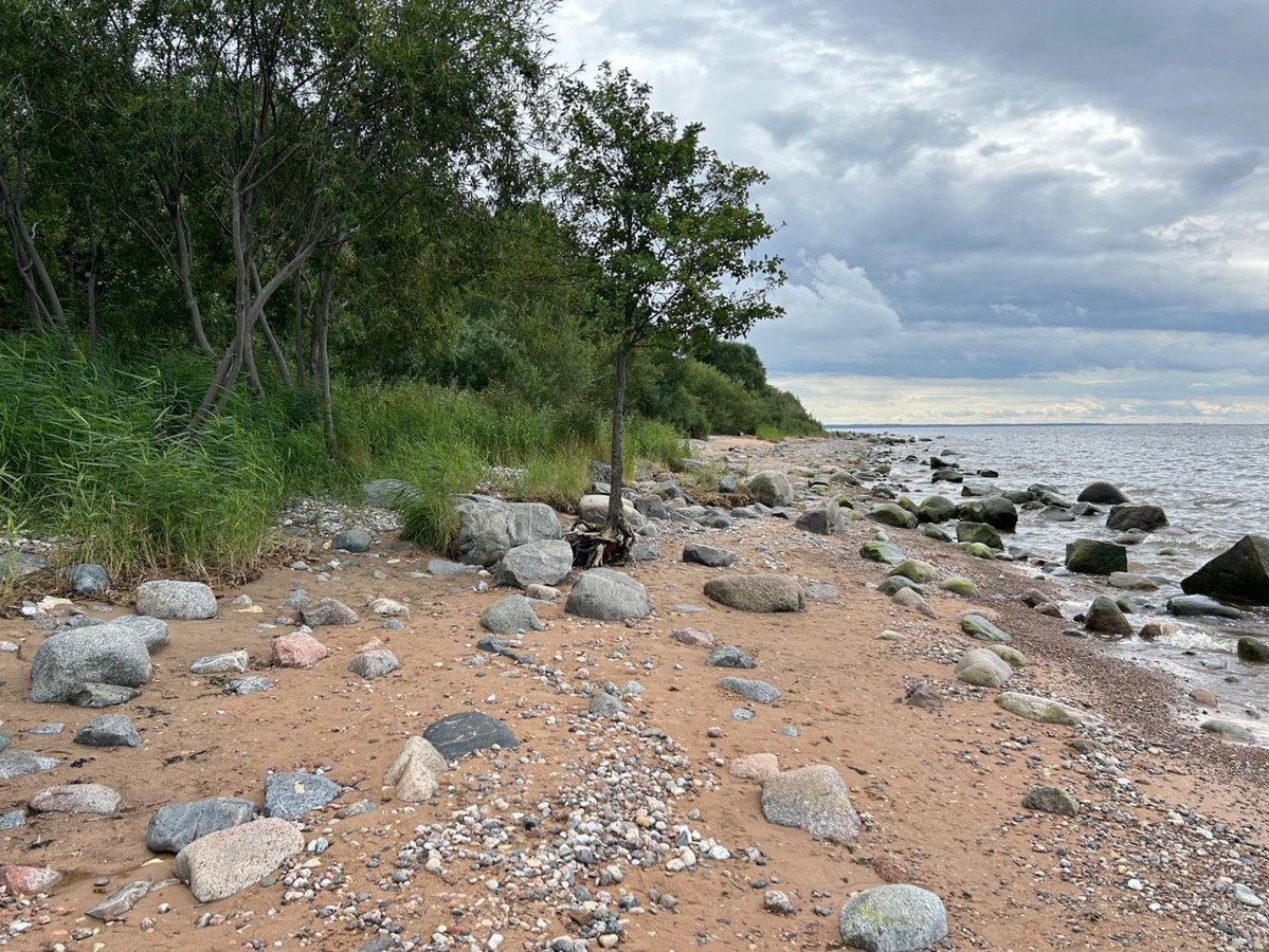 Latvian MFA 🇱🇻 | #StandWithUkraine 🇺🇦 tweet media