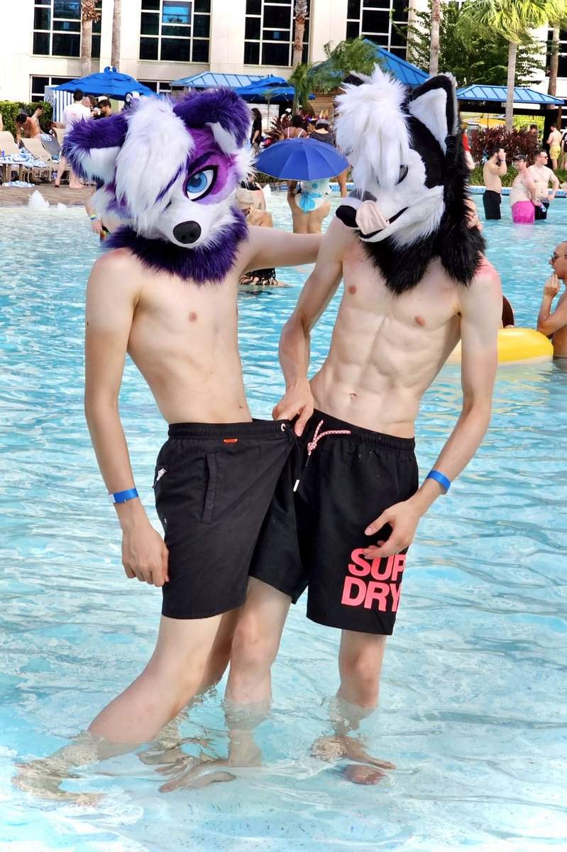 Koko 🐾 | 🔜 FWA, MP tweet media