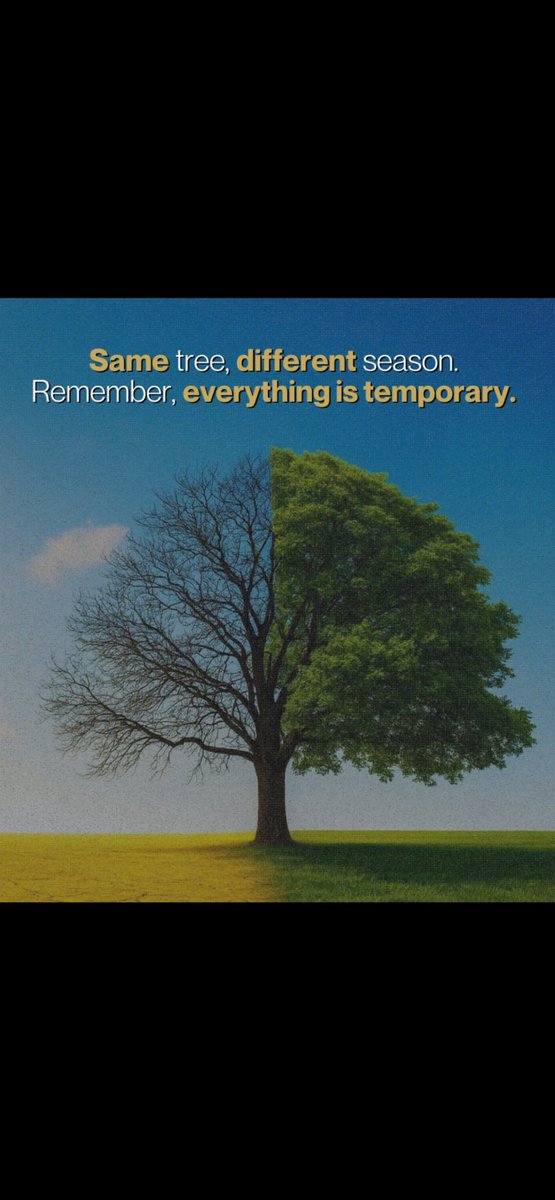 S_Y_K_O_S's tweet photo. #season #temporaryart #temporär #sykos #improve #change #ThoughtLeaders #performance #unbreakable #Resilienz #resilience #resiliencematters #trees #resiliencebuilding #ResilienceGrowsHere #resilientcreativity #inspiringsuccess https://t.co/fAHztKwD6d