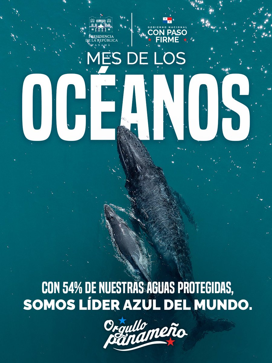 🌊 Panamá protege lo que nos hace grandes: nuestros mares.

Con 54% de nuestras aguas bajo resguardo, somos Líder Azul del mundo.
Orgullosamente panameños, cuidamos nuestra riqueza natural para hoy y para el futuro. 🇵🇦

#MesDeLosOcéanos #ConPasoFirme #OrgulloPanameño