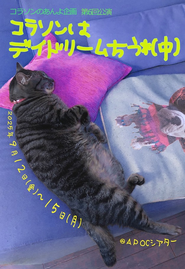 y_sainoo's tweet photo. えっ！本番まであと1週間ですって！！
稽古も佳境です！
ちゃくちゃくです✨️✨️

コラソンのあんよ企画　第6回公演
『コラソンはデイドリームちう*(中)』
－短篇3部作－
2025年9/12(金)～9/15(月)
前売・当日：3800円
■予約
https://t.co/Zvs7erftQ1

#コラソンのあんよ企画 
#デイドリームちう https://t.co/iVkmBXfL9m