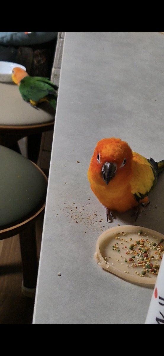 여전히 제각기 노는 바보 둘