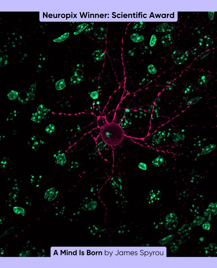The Reid Lab (Florey) tweet media