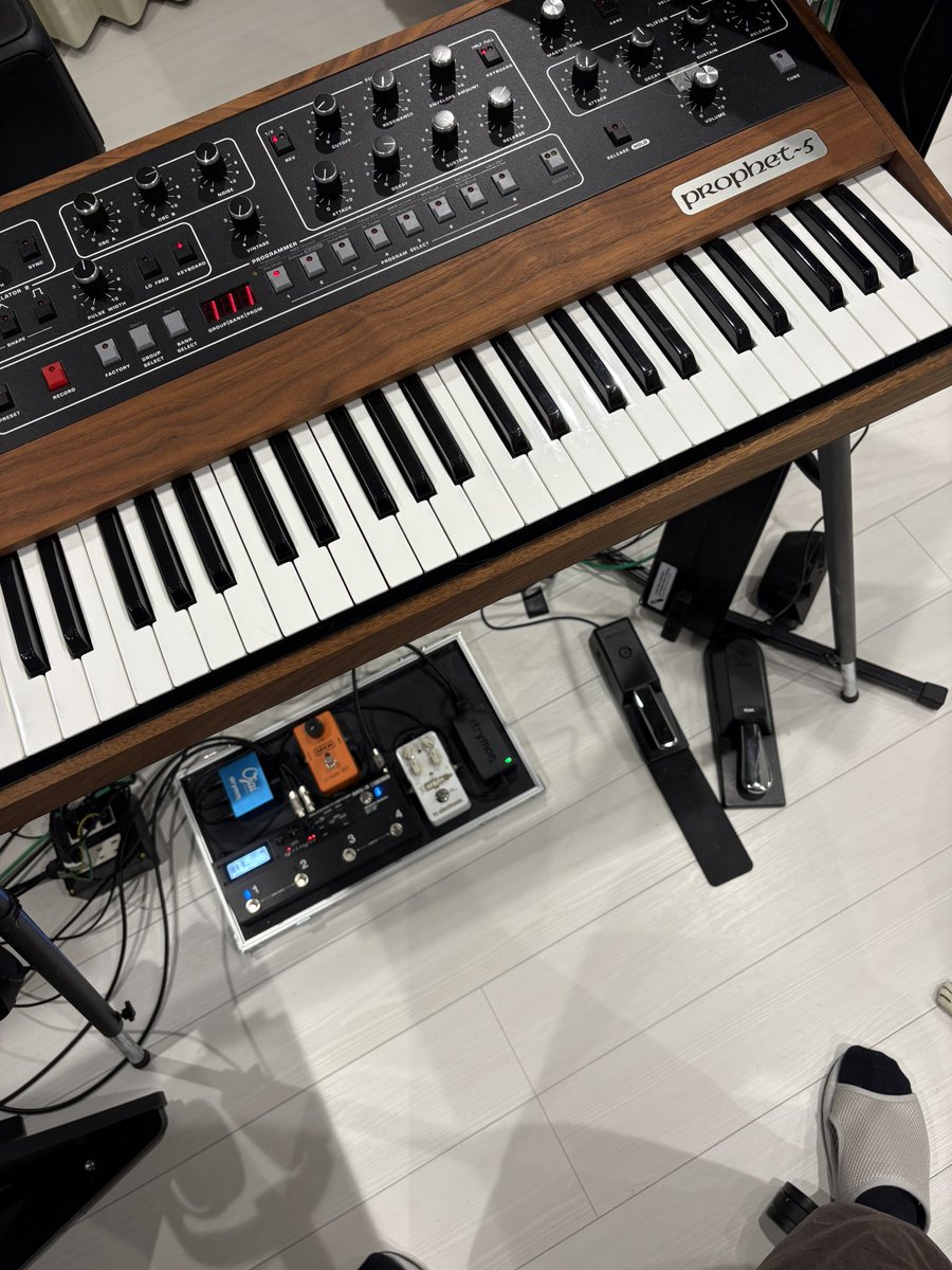 Masuhisa_N's tweet image. 音を作っている🐱

#prophet-5