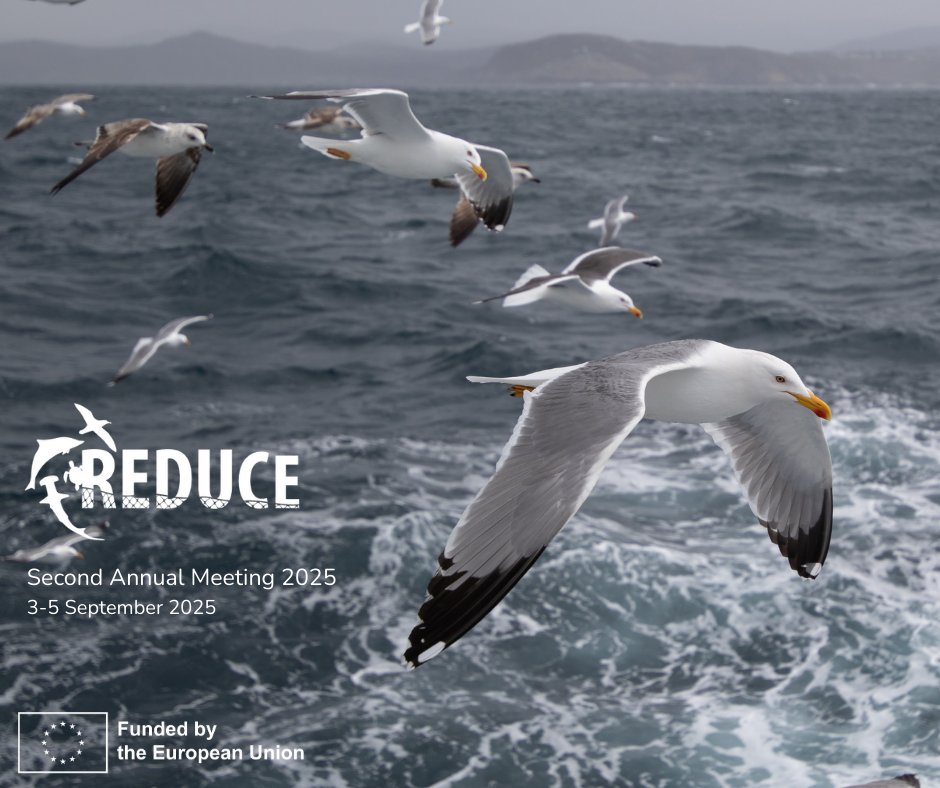 ReduceProject's tweet image. After 3 days of intensive work, REDUCE II Annual Meeting has finally ended, with good progress of WPs and promising tasks ahead. Thanks to all partners, Advisory board and Ethics Board for your participation, as well the Coordination team for the great job. We see!