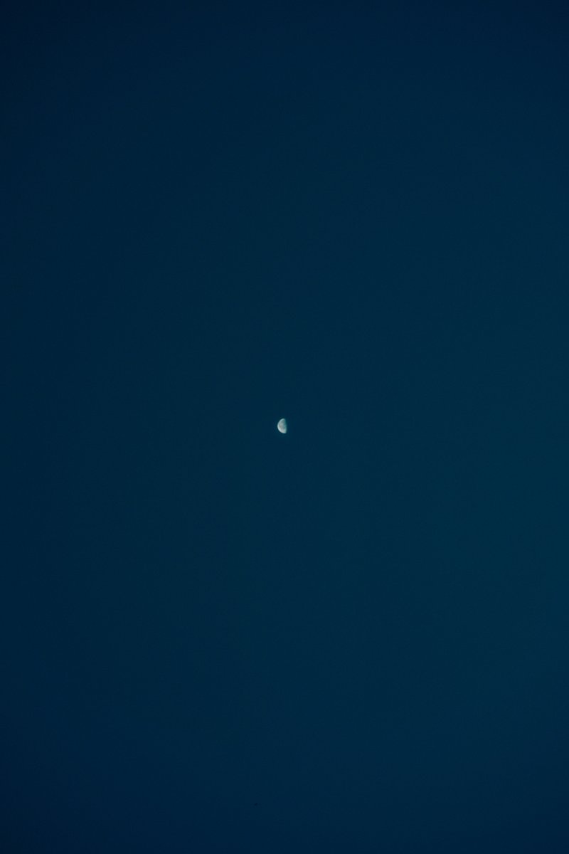 shintake_photo's tweet image. Stillness