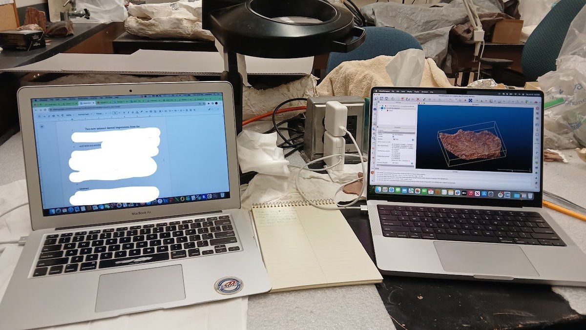 New semester.
New developments.
New skills.

Same subjects.
Same problems.

#FossilFriday #osteoderms #aetosaurs