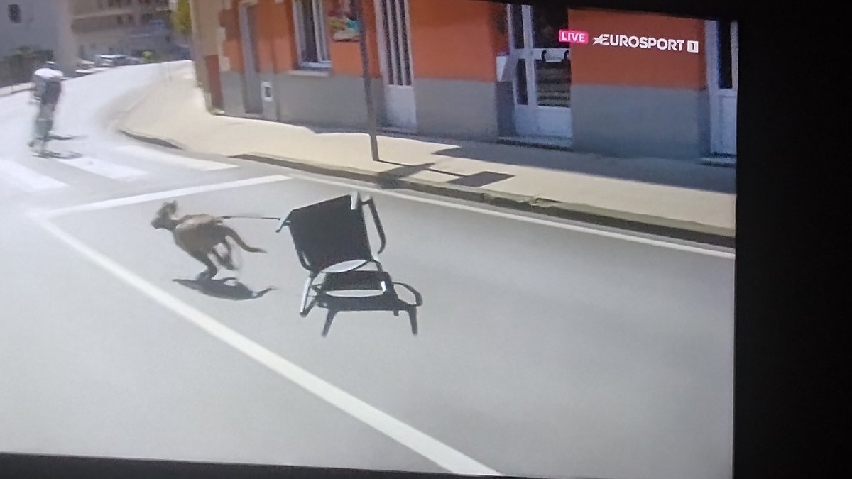 #lavueltaxrcn #LaVuelta25 🇪🇸 Q yo amarro al perro y no pasa nada... Segundos después,se asoman los primeros ciclistas y quién se atraviesa y con todo y silla, FIRULAIS DE ASTURIAS 😁 <a href="/Eurosport_ES/">Eurosport.es</a>