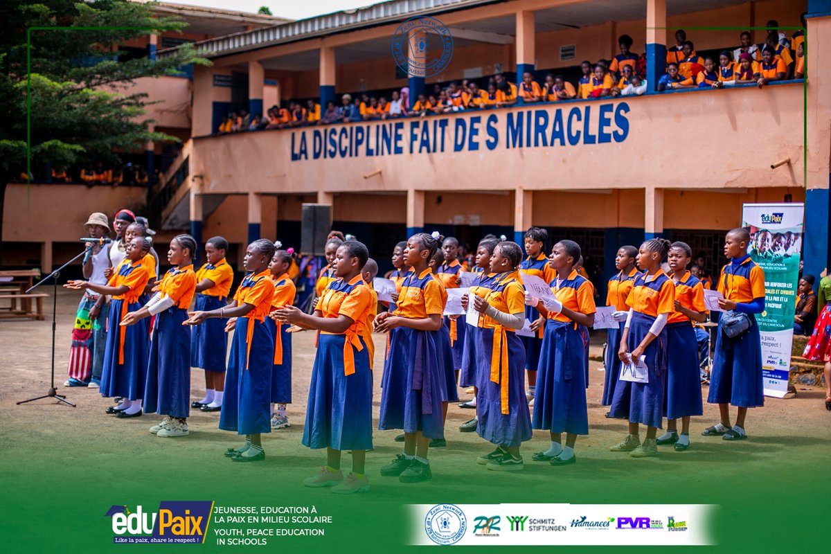 zenu network tweet media