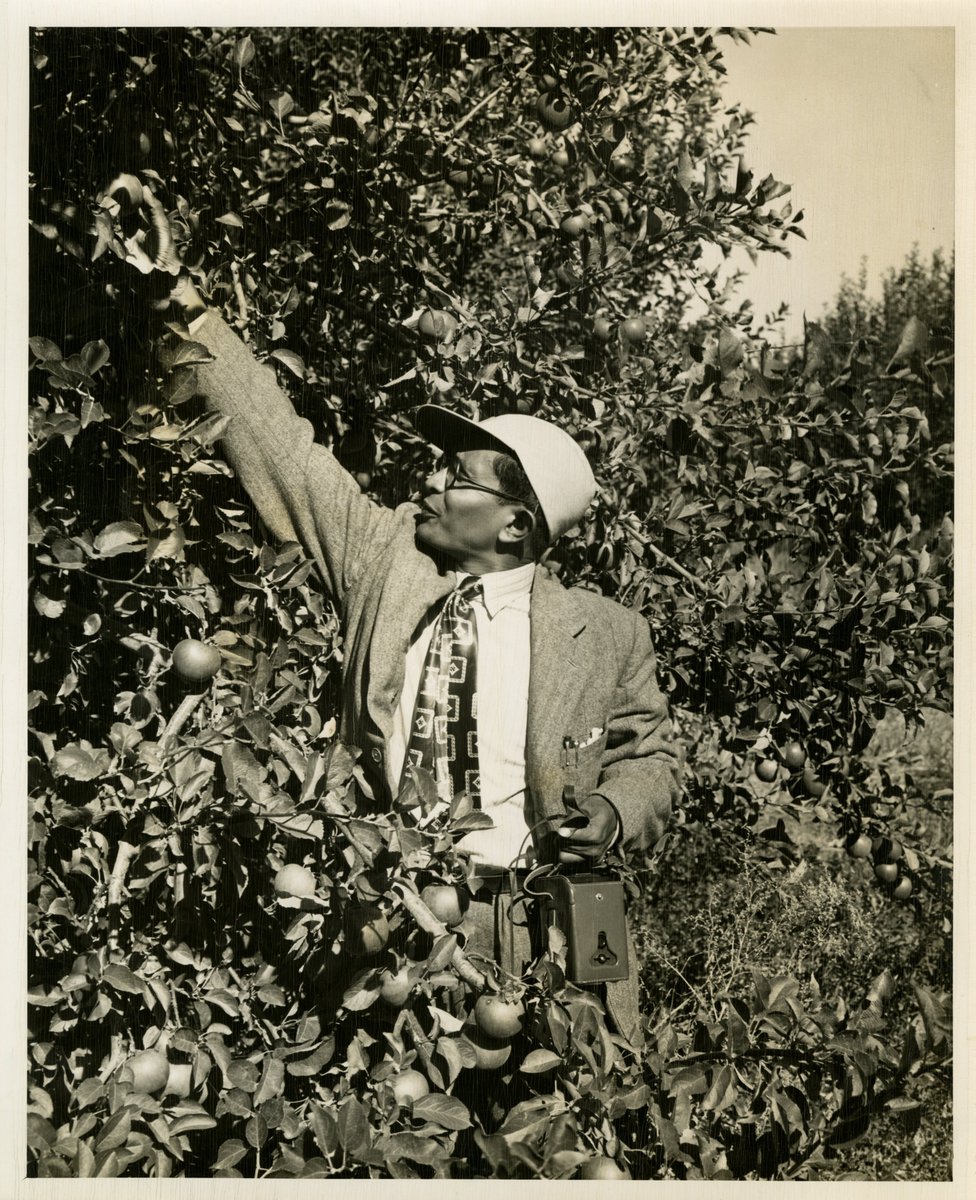 Denver Archives tweet media