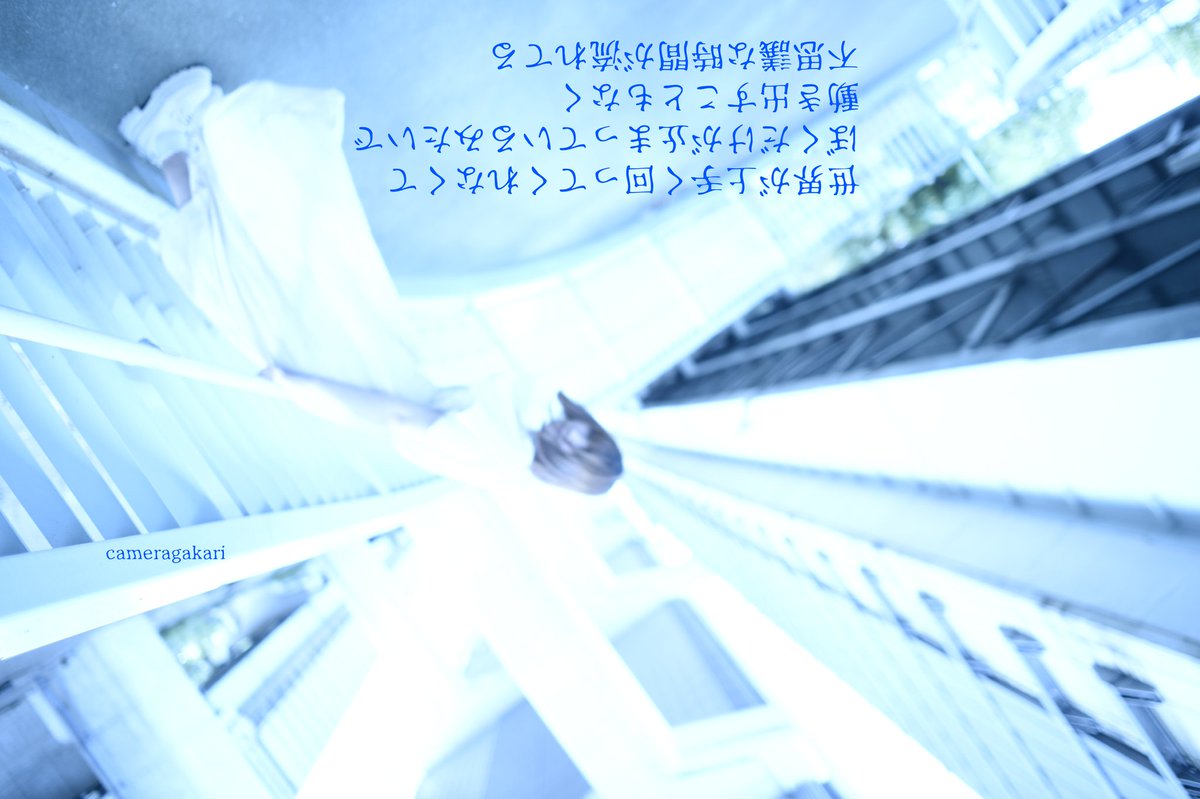 りゅう@カメラ係 tweet media