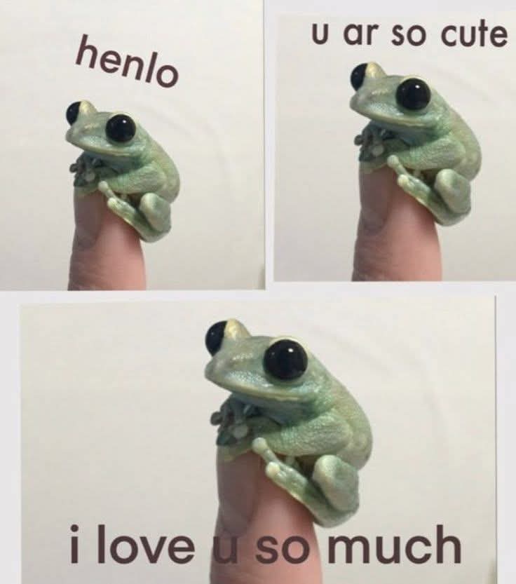 🐸💚😍