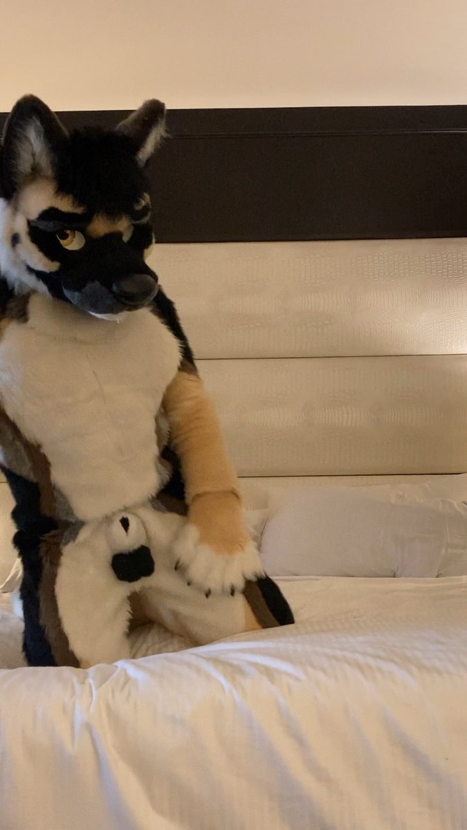 I’m here to unmake your bed~ 😈

#fursuit #murrsuit #FatSheathFriday
#sheath #realballs #nsfw