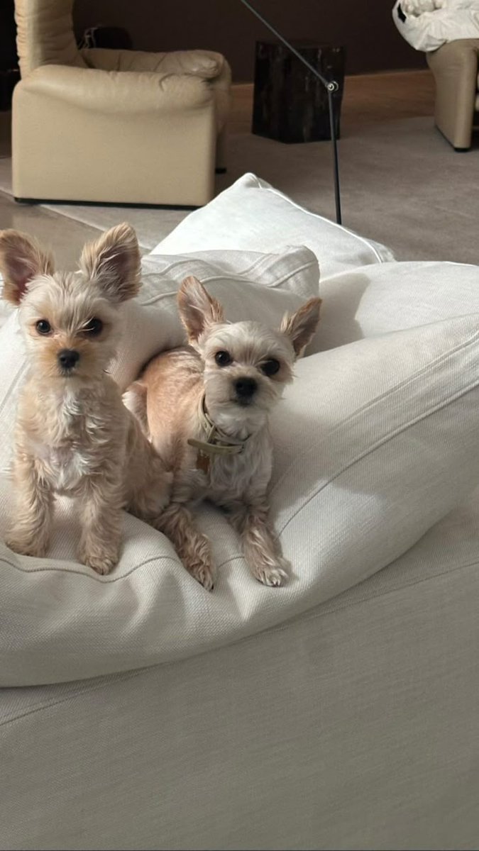 jdbxxliwl's tweet image. “Hailey babe, hallelujah”
“Baby Jack, hallelujah”
“Oscar, Piggy hallelujah”

A FAMILY