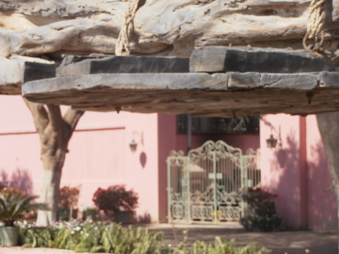 enelpaisdlpisco's tweet image. Additionally, 8 pisco grapes and twelve different varieties of pisco are recognized which are classified as follows
Pure Piscos Made exclusively from one of the eight pisco grapes These are divided into less aromatic Quebranta,Mollar,Uvina,Negra Criolla...
liviopastorino.com/en/el-arte-de-…