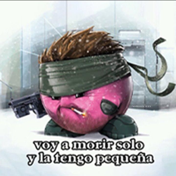 chincheto pirata somali (@wikipistacho) on Twitter photo 