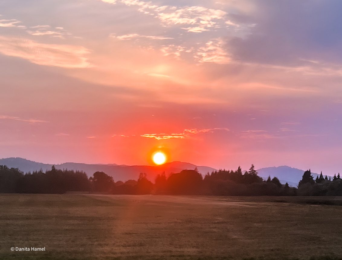 danitahamel's tweet image. Happy Friday everyone!☕️🫖😀👋🏻

Today’s photo theme is: Round.☀️

#Round