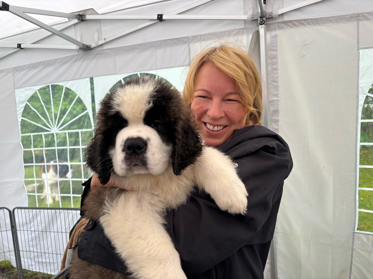 AmyBakerCAN's tweet photo. Today, the Swiss won in #DogDiplomacy, and I’m a little in love.  Happy National Day, Switzerland!   
Aujourd'hui, les Suisses ont gagné en diplomatie canine, et j'ai un petit coup de cœur. Bonne fête nationale à la Suisse ! https://t.co/B05Nnprzns