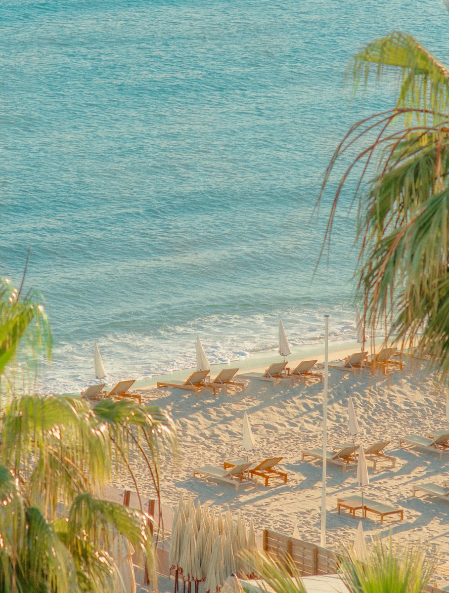 Scenes from the south of France