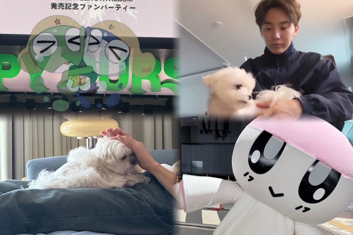 0116bcha's tweet photo. ⁡
           부승관
                            ☑︎alt
⁡
#SEVENTEEN好きな人と繋がりたい #大人caratさんと繋がりたい #大人caratと繋がりたい #캐럿트친소 https://t.co/Z7tAujfxIQ